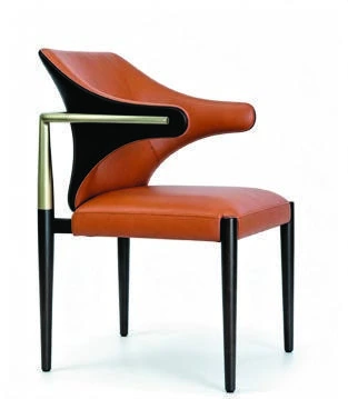 B-596 Dining Armchair — catalogue product photograph