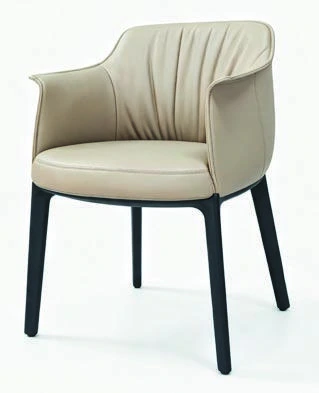 B-255 Dining Armchair — catalogue product photograph