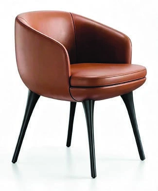 B-650 Dining Armchair — catalogue product photograph