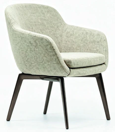 B-557 Dining Armchair — catalogue product photograph