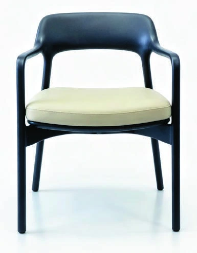 B-666 Dining Armchair — catalogue product photograph