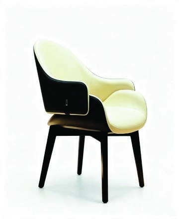 B-300 Dining Armchair — catalogue product photograph