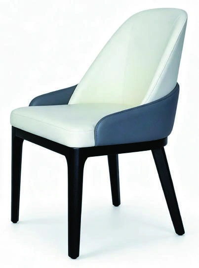 B-072 Dining Chair — catalogue product photograph
