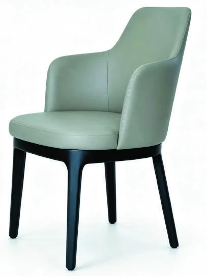 B-262 Dining Armchair — catalogue product photograph