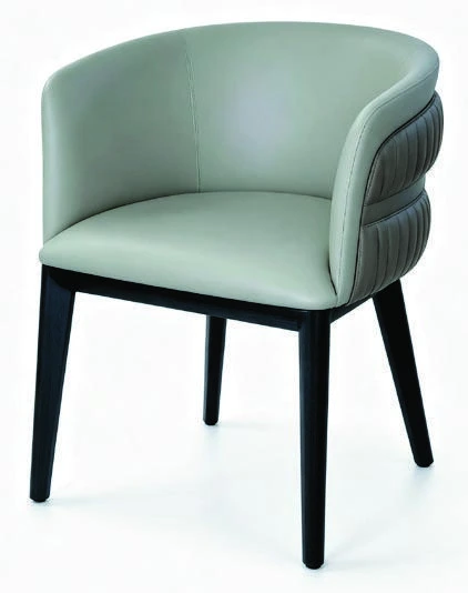 B-233 Dining Armchair — catalogue product photograph