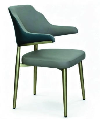 B-602 Dining Chair — catalogue product photograph