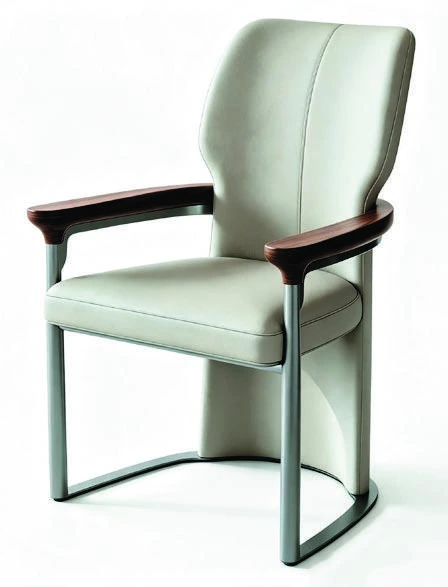 B-295-18 Dining Armchair — catalogue product photograph