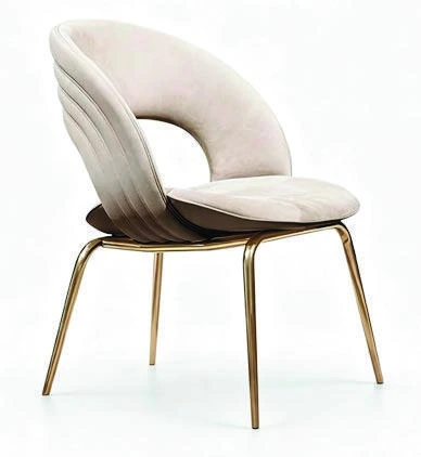 B-269 Dining Chair — catalogue product photograph