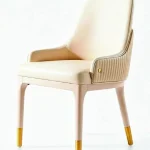 B-525 Dining Chair — catalogue product photograph