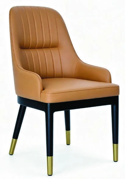 B-289 Dining Armchair — catalogue product photograph