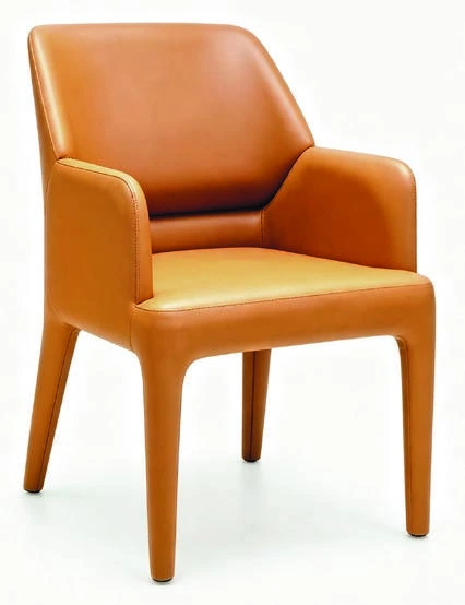 B-319 Dining Armchair — catalogue product photograph