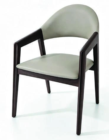 810 Dining Armchair — catalogue product photograph