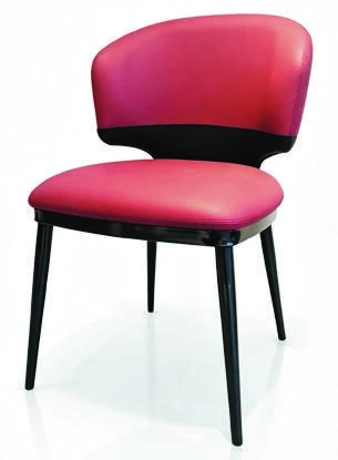539 Dining Chair — catalogue product photograph