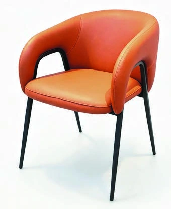 208 Dining Armchair — catalogue product photograph