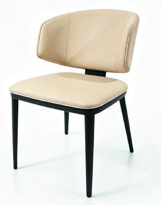 295 Dining Chair — catalogue product photograph