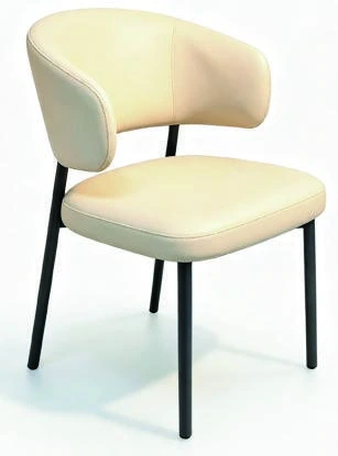 513 Dining Armchair — catalogue product photograph