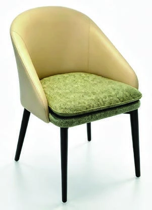 205 Dining Armchair — catalogue product photograph