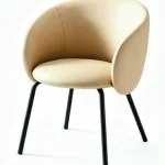 207 Dining Armchair — catalogue product photograph