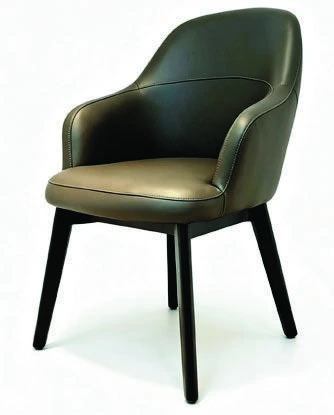 569 Dining Armchair — catalogue product photograph