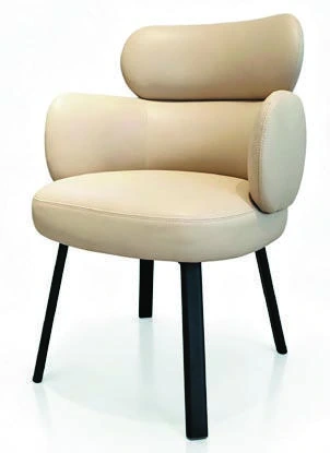 526 Dining Chair — catalogue product photograph