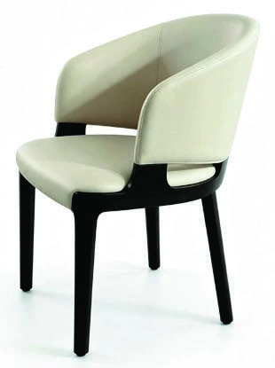 B-260 Dining Armchair — catalogue product photograph