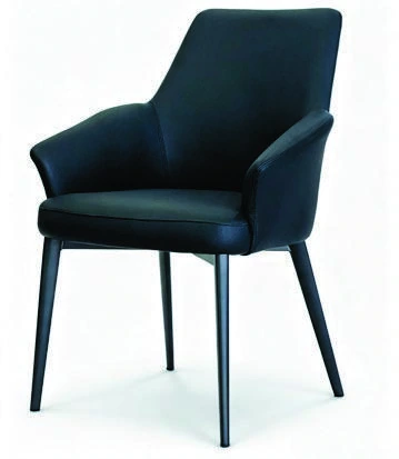201 Dining Armchair — catalogue product photograph