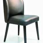 B-329 Dining Chair — catalogue product photograph