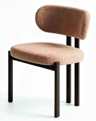 B-528 Dining Chair — catalogue product photograph