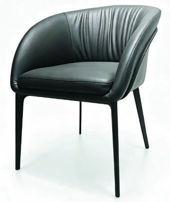 206 Dining Armchair — catalogue product photograph