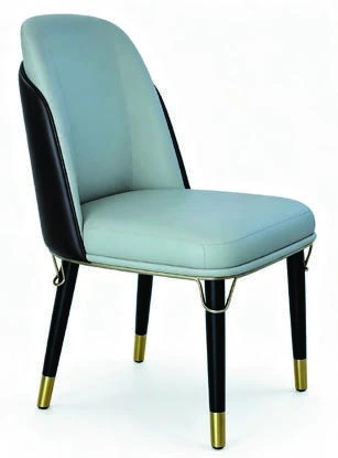 B-116 Dining Chair — catalogue product photograph